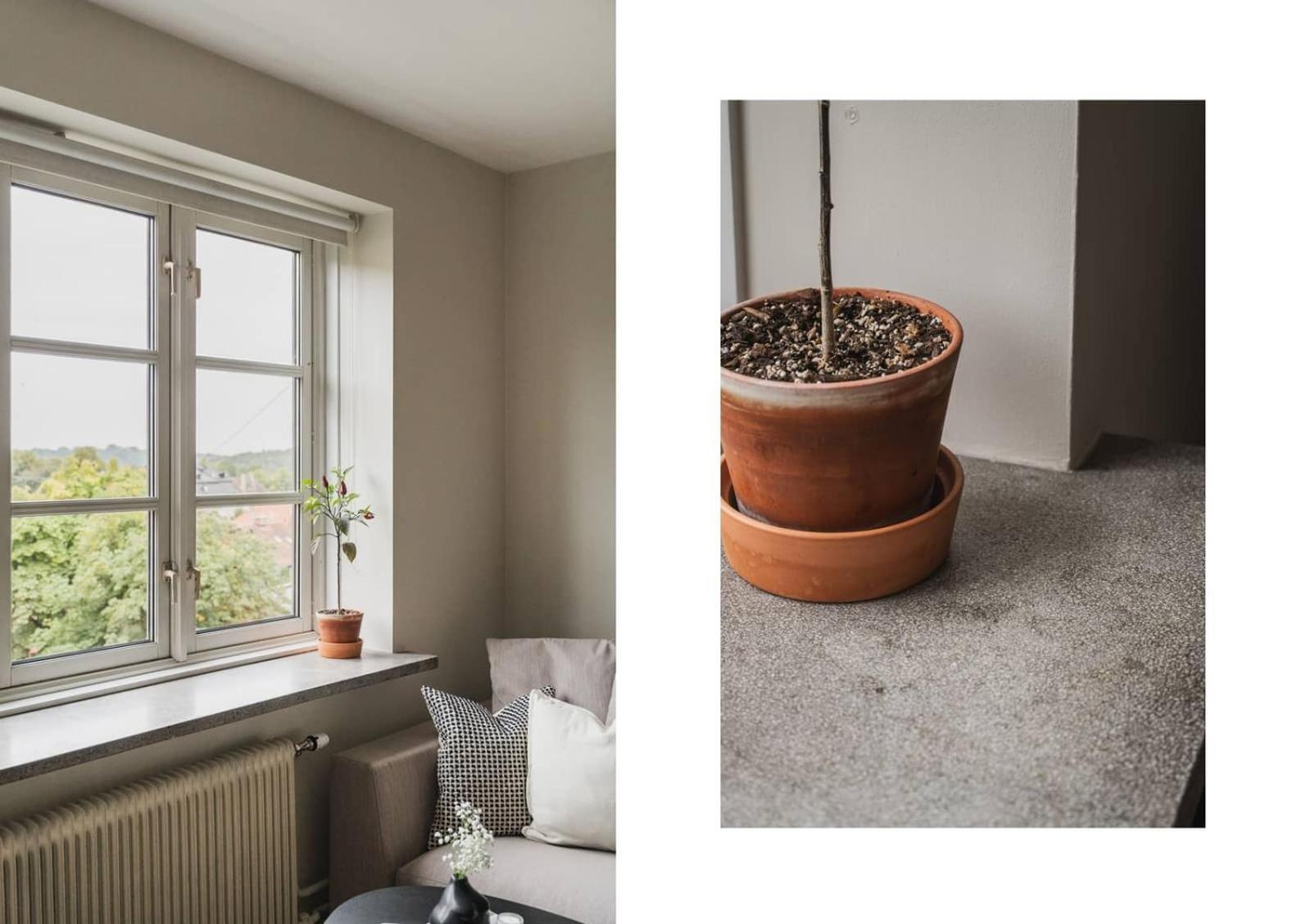 Stilfull Frogner-leilighet